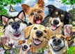 Selfie Dog’s Delight - Puzzel 500 stukjes - Ravensburger 12000532