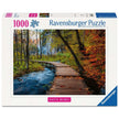 Autumnal wood trail - Puzzel 1000 stukjes - Ravensburger 12001764, doos