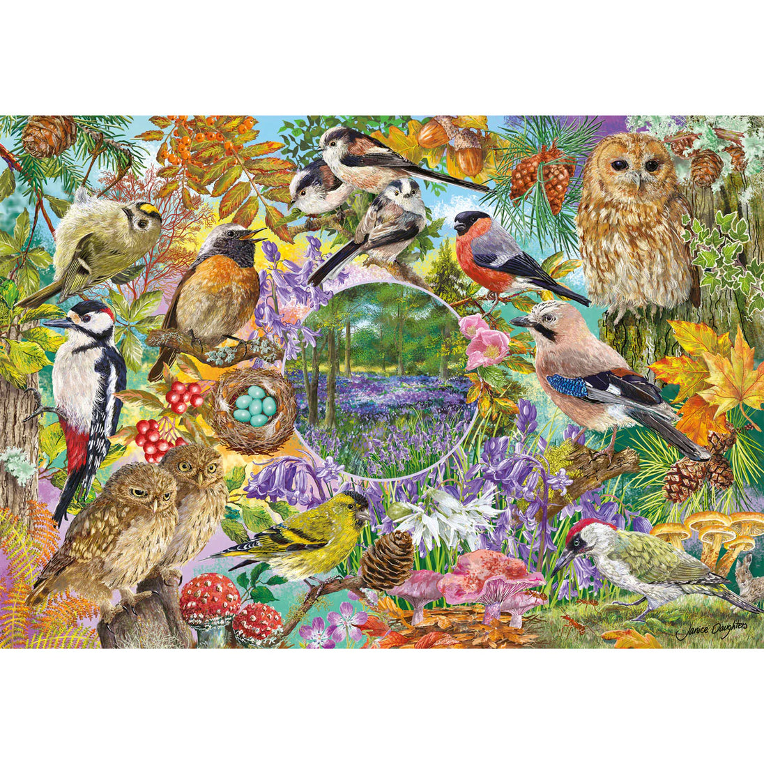 RSPB Wings in the Wild - 4 X 500 stukjes Puzzels - Gibsons G5074