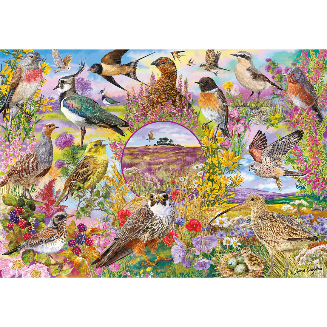 RSPB Wings in the Wild - 4 X 500 stukjes Puzzels - Gibsons G5074