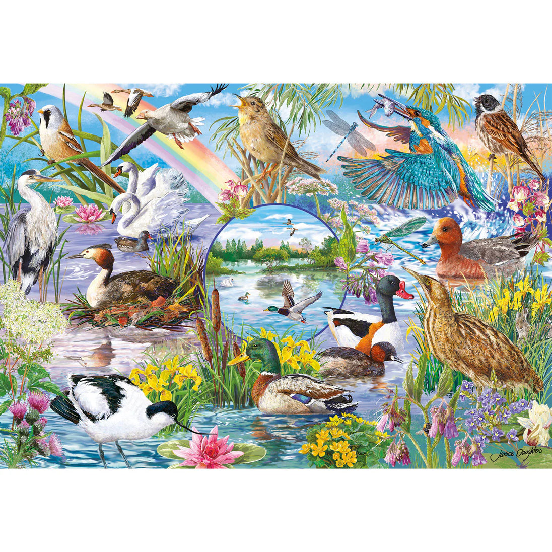 RSPB Wings in the Wild - 4 X 500 stukjes Puzzels - Gibsons G5074