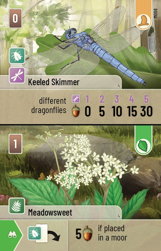 Forest Shuffle Dartmoor