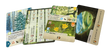 Forest Shuffle Exploration - Uitbreiding, kaarten