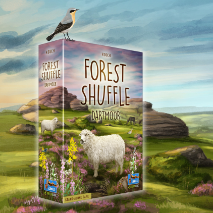 Forest Shuffle Dartmoor